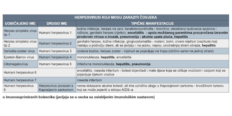 herpes, herpes na usni, groznica