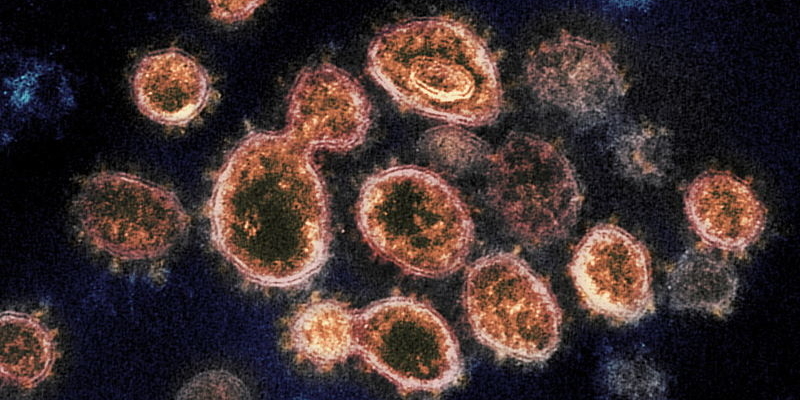 korona, virus, koronavirus