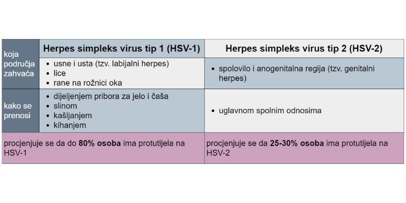 herpes, herpes na usni, groznica